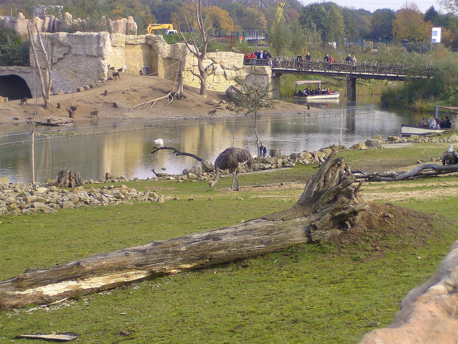 Zoom 18.10.08-108.jpg